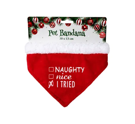 Christmas Dress Up Pet Bandana 30*13cm