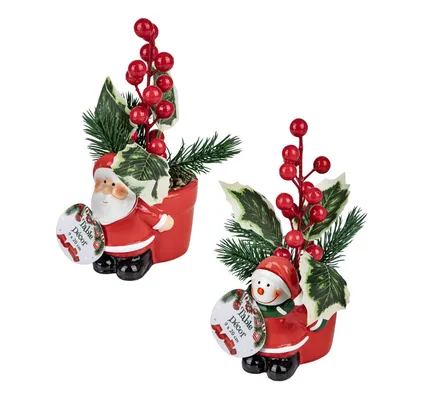 Xmas Table Decor Flower In Pot 9x20cm