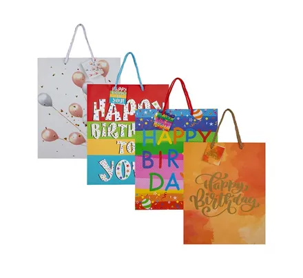 Large Birthday Gift Bag