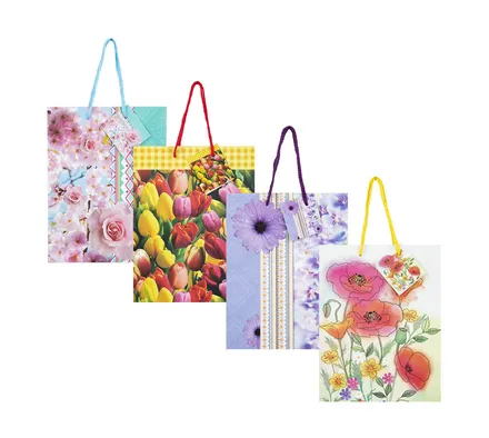 Medium Everyday Gift Bag