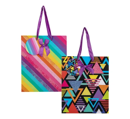 Large Everyday Glittery Gift Bags