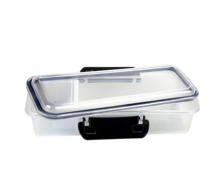 Clip Lock Container Two Division