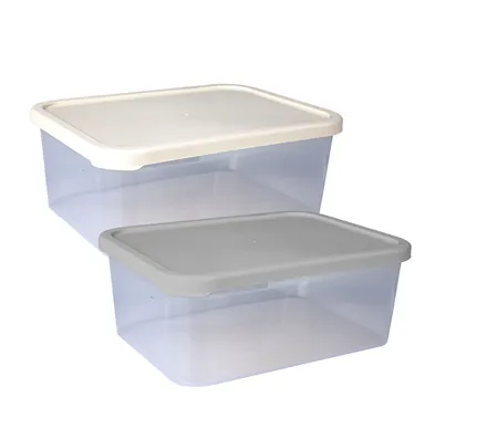 Food Container 23 X 17 X 9cm, 2.85l